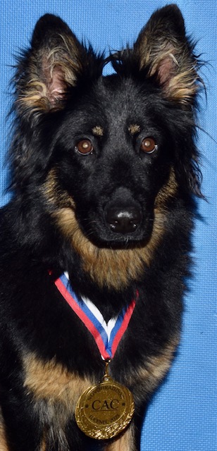 Gracia CAC Novohraddog 2023